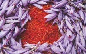 , مانشا الزعفران, والزعفران النقي, وسعر الزعفران ,, الزعفران العضوي والزعفران بالجملة, الزعفران الإيراني, sargol المورد, والزعفران الهوارى