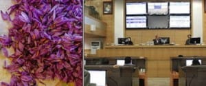在台北红花卖家，藏红花进口商为新北市，藏红花卖家在新北市，藏红花进口商台中，台中红花卖家，藏红花进口到台南，藏红花卖家新台南