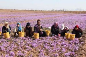 The most important property of saffron "depression" is