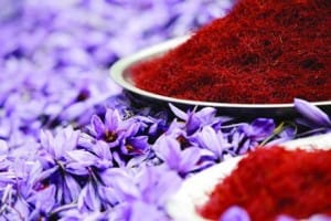 saffron in WHANIGTON,saffron price in WHANIGTON, saffron companies in WHANIGTON,saffron iran in WHANIGTON,Persian saffron in WHANIGTON