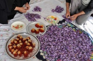 zafferano agricoltori, iran agricoltori zafferano, zafferano a noi, zafferano in America, zafferano per usa.import lo zafferano a noi, l'importazione di zafferano a Stati Uniti d'America, importatore zafferano Stati Uniti d'America