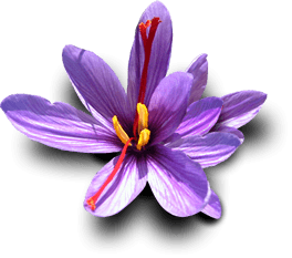 saffron companies in EU,saffron iran in EU,Persian saffron in EU,red saffron in EU,Iranian saffron in EU