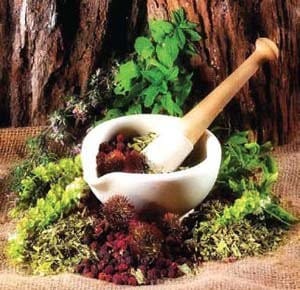 Iranian saffron in united states,buy saffron in united states,price of saffron united states,saffron shop in united states,Saffron