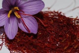 saffron price in CALIFORNIA, saffron companies in CALIFORNIA,saffron iran in CALIFORNIA,Persian saffron in CALIFORNIA,red saffron in CALIFORNIA