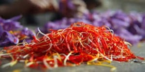 Facilitate export of saffron Ardebil