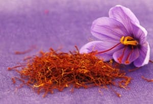 Khorasan saffron market resting