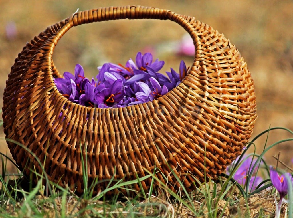 saffron shop in Arizona,buy saffron in Arizona,wholesaler saffron Arizona,iranian saffron Arizona,saffron in Arizona city,