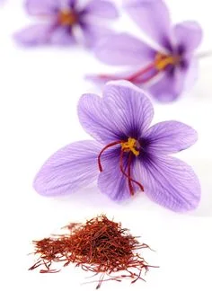 The Saffron Supplementary Fund is set up,Saffron Production and Market Boom, Saffron Fund, Saffron Export, Iran Saffron Council, Saffron Prices, Iran's Biggest Saffron Producer in the World