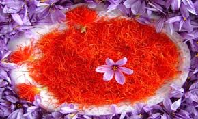 Director of Horticulture Agriculture Organization of Hamedan province produces more than 270 kilograms of saffron in the province and said: This year more than 270 kilograms of saffron produced in the province that figure is unprecedented