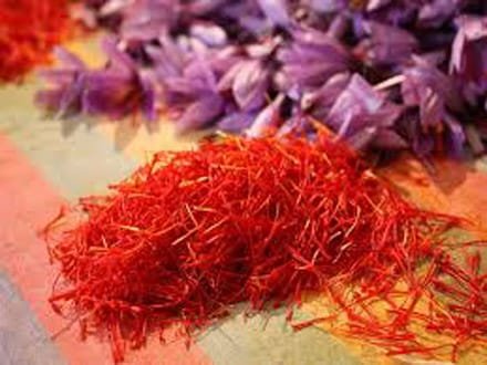 saffron price in Scottsdale,saffron iran in Scottsdale,saffron shop in Scottsdale,buy saffron in Scottsdale,buy persian saffron in Scottsdale,purchase saffron in Scottsdale,major purchase in Scottsdale,red saffron in Scottsdale,saffron shop in Scottsdale,