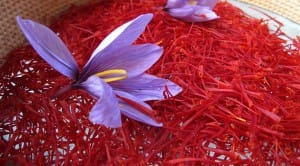 Saffron,saffron in new York,saffron price in new York, saffron companies in new york,saffron iran in new york