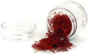 Saffron should be mechanized harvest