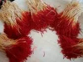 Iran saffron export,iran saffro,saffron,saffrol supplier,saffron exporter,iranian saffron,iran saffron,saffron price,price of saffron,saffron wholesale