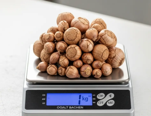 How many saffron bulbs are in 1 kg?