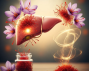Saffron and liver health