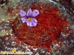 Saffron's first museum launched,saffron,iranian saffron,saffron seller,supplier saffron,manufacturer saffron,saffron iran,saffron exporter,iranian saffron exporter,safforn from iran