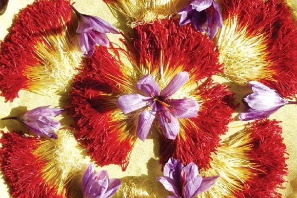 Iranian Saffron Threads