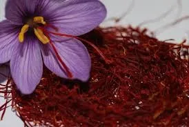 saffron,saffron seller
