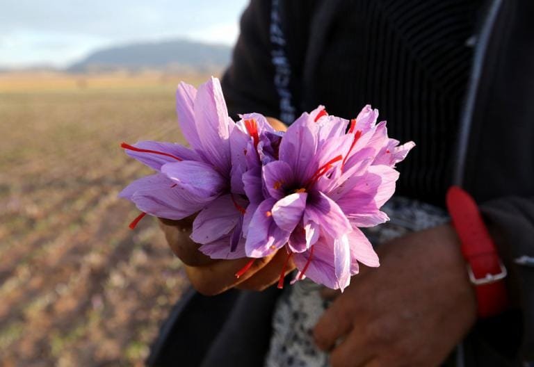 Customs did not export statistics for saffron from November