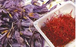 Food and Drug Administration's response to the presence of fake saffron