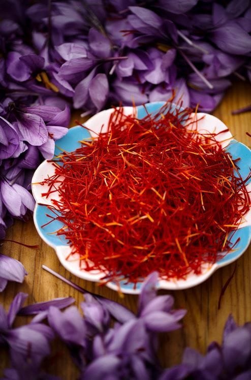 Saffron flower, harvesting machine, investment, Making saffron flower harvesting machine in 6 hours, saffron flower harvesting machine, iranian saffron