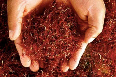 saffron,saffron seller,price of saffron,saffron from iran,saffron of iran,saffron iran,iran saffron,saffron shops,supplier of saffron,saffron iran price