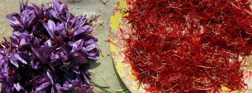 The amount of allowable Saffron