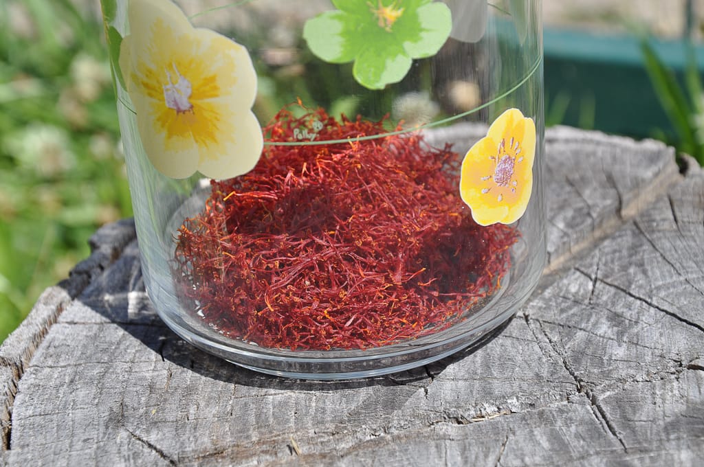Unkind To Iranian Red Gold Saffron Unkind To Iranian Red Gold Saffron