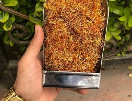 What Is the Impact of Saffron on Cancer?