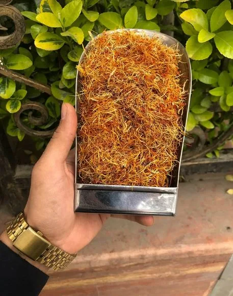Saffron for Cancer Treatment