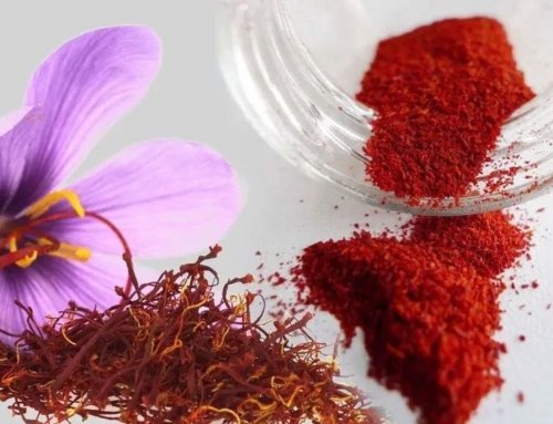 The Dangers Facing Saffron Cultivation