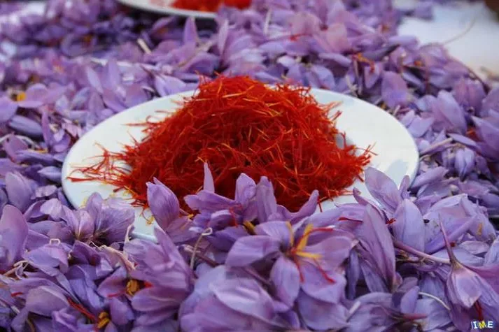 Saffron and Alzheimer Management