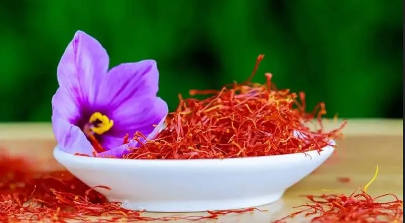 Best Fertilizers for Saffron