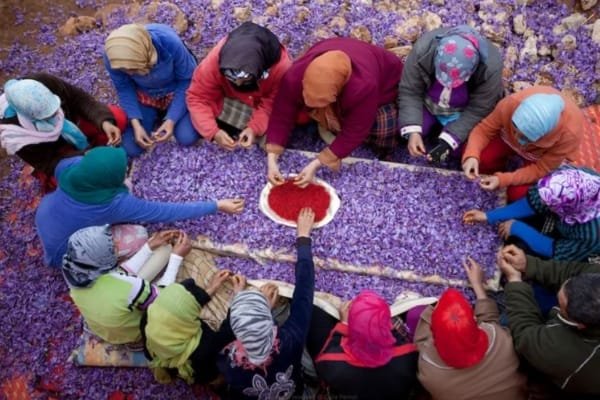 Health benefits of saffron tea