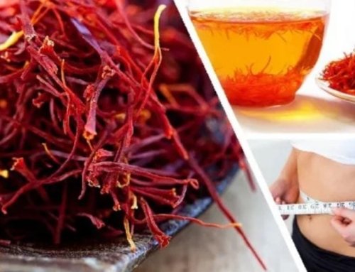 Types of Iranian Dishes with Saffron