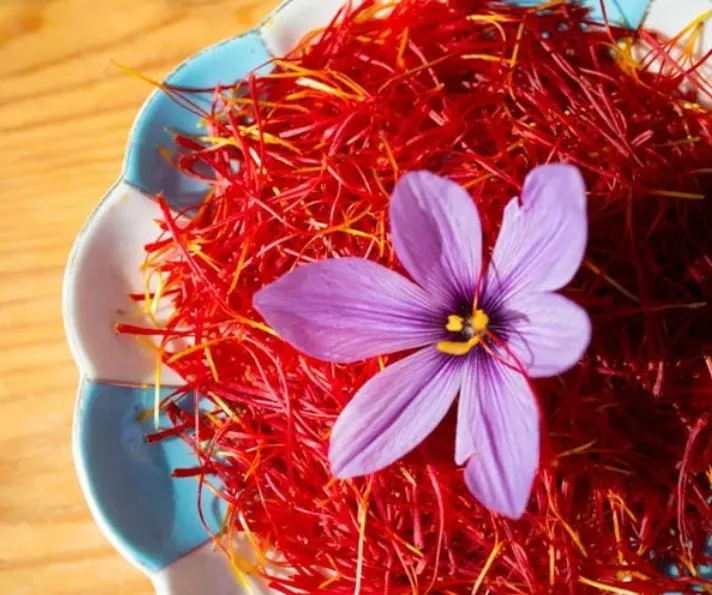 Saffron production in Khorasan Razavi