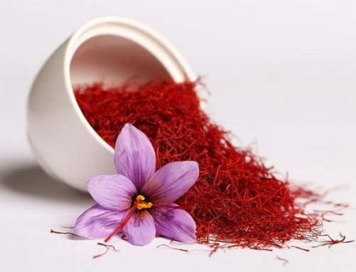 Average Saffron Production in Torbat Heydarieh: Around 3 Kilograms Per Hectare