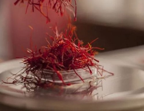 Details of Saffron Production in 2024