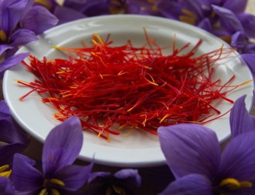 Uncertain Saffron Production in 2025