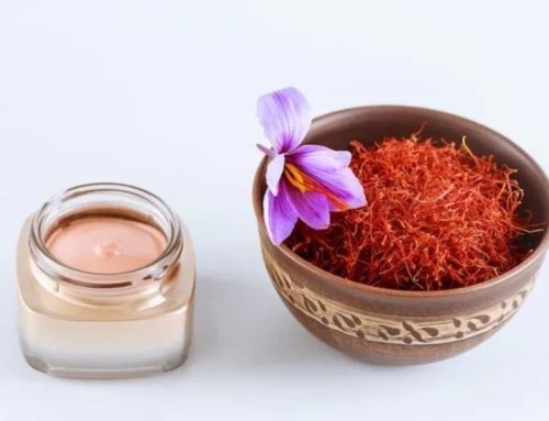 Saffron Cultivation and Growing Conditions for Premium Saffron