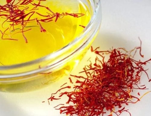 Saffron Cultivation Methods: A Guide to Growing and Caring for Saffron Plants