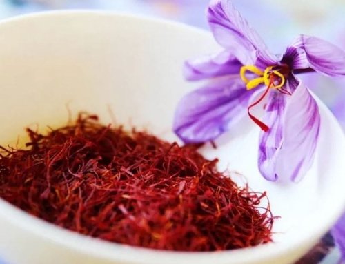 Important Facts About Iranian Saffron