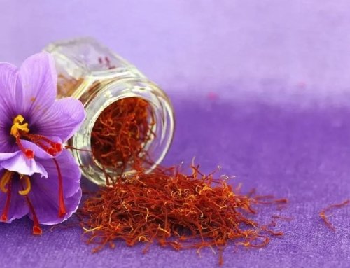 Saffron Tea Benefits: Unlocking the Healing Power
