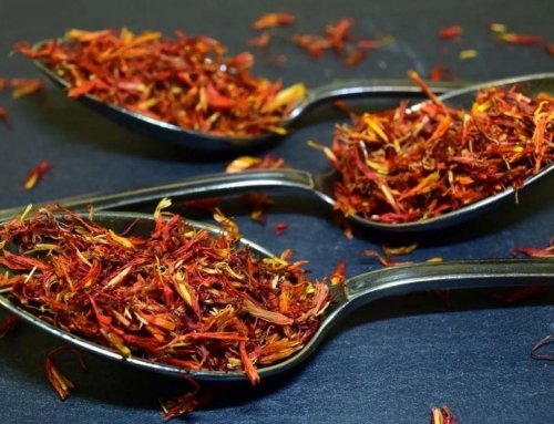 Dangerous Side Effects of Saffron: Negative Impact of Excessive Consumption