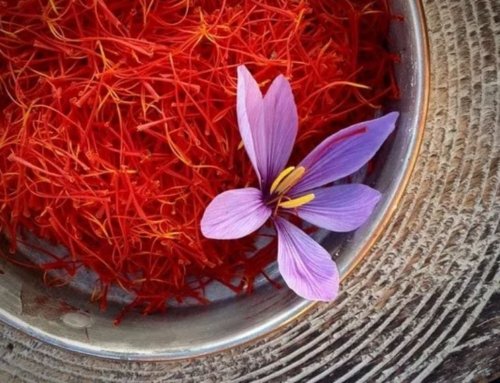 Saffron Benefits and Drawbacks: Is Saffron Harmful?