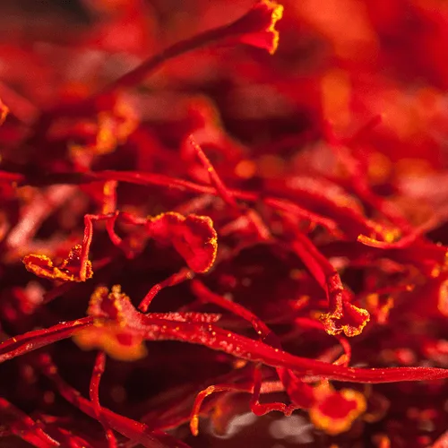 buy saffron in Glendale,buy persian saffron in Glendale,purchase saffron in Glendale,major purchase in Glendale,red saffron in Glendale,saffron shop in Glendale, ,saffron,iran saffron in Reno,persian saffron in Reno,iranian saffron in Reno,