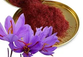 saffron from iran,persian saffron,saffron stigma,saffron producers,saffron manufacturer